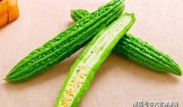 吃小乳瓜腹痛,揭秘健康饮食之道