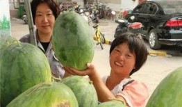 小区楼上吃瓜,邻里和谐还是矛盾升级？