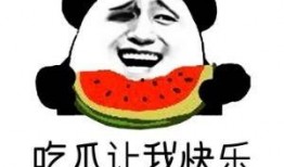吃瓜观众怎么样