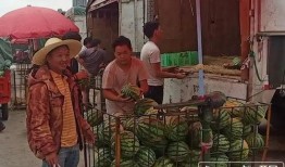 国色芳华吃瓜群众,揭秘吃瓜群众的狂欢盛宴
