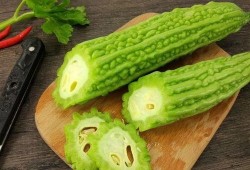 乐趣吃瓜酱,带你领略美食与娱乐的完美融合