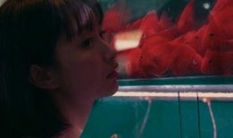 吃瓜少女狗仔,揭秘娱乐圈幕后真相