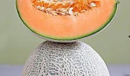 吃生瓜腰痛,揭秘生食瓜果与腰痛之间的关联