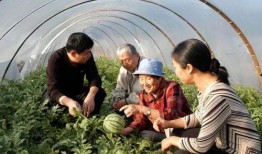吃瓜自由基地