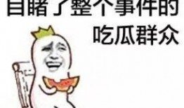 吃瓜群众牛马,网络舆论场中的众生相
