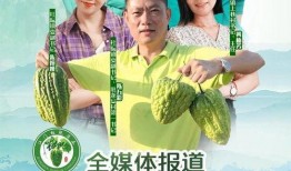 小说带你吃瓜