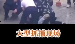 抓捕现场路人吃瓜视频,路人围观抓捕，吃瓜视频引发热议