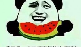 吃瓜群众祈祷歌,揭秘网络狂欢背后的心声与祈愿