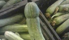 吃瓜为什么又叫杀瓜