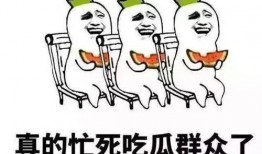 吃瓜自己被砸到,揭秘“瓜”背后的惊险瞬间
