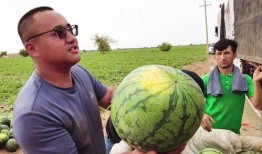 吃瓜大王照片图片,照片中的美食诱惑与生活态度
