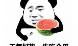 吃瓜表情怎么破解视频