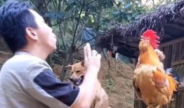 吃瓜不扭瓜的照片搞笑图片
