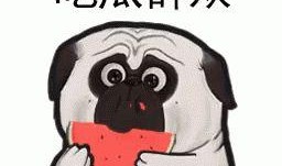 设计带你吃瓜