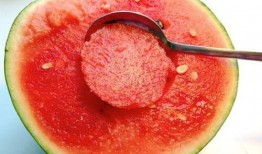 毛瓜不能与什么一起吃