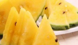 吃瓜的黑土豆,揭秘幕后故事