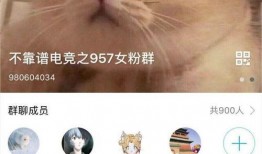 电竞吃瓜婆,揭秘“吃瓜婆”背后的八卦故事