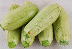 酒精吃瓜,揭秘酒精与吃瓜的奇妙搭配