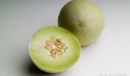 网红吃白兰瓜,美味与营养的完美邂逅