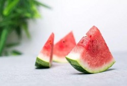 梦见在瓜地旁卖瓜吃,瓜地旁的卖瓜食趣