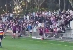 澳大利亚看台吃瓜,瓜田李下，观战风云