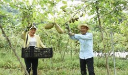 新晋吃瓜群众,揭秘娱乐圈幕后风云