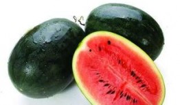 lanzou吃瓜,网络热议背后的真相与反思