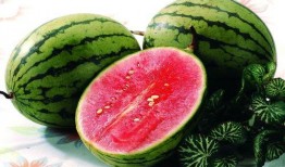 吃瓜照片夏日,清凉一夏，尽享瓜果盛宴