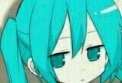 miku吃瓜表情包,萌动瞬间，笑翻网友