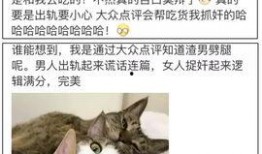 吃瓜路人评论怎么写,揭秘娱乐圈最新热点事件背后的真相