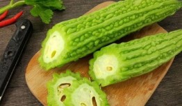 苏州湾吃瓜,畅享清凉，品味生活