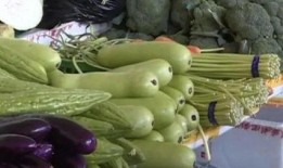 毛瓜不能与什么一起吃