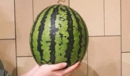 广州ttg清清吃瓜,揭秘电竞圈吃瓜背后的故事