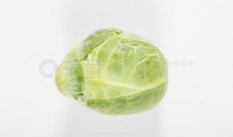 高清素材吃瓜视频,吃瓜视频背后的精彩瞬间