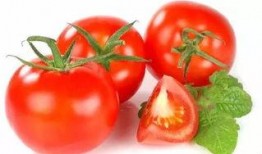 番茄搞笑吃瓜心声,揭秘娱乐圈幕后趣闻