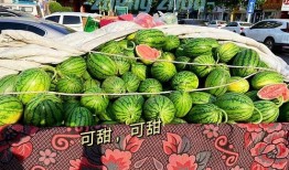 郑州初中吃瓜,校园生活新风尚