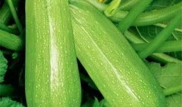 陆珩吃瓜,揭秘娱乐圈背后的那些事儿