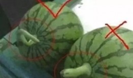 小妹儿吃瓜,揭秘娱乐圈那些不为人知的幕后故事