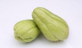 减肥吃佛手瓜行吗,天然低卡美食，轻松享瘦新选择”