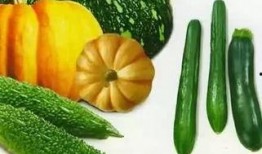 一直吃瓜会变瓜,揭秘网络时代的“瓜文化”现象