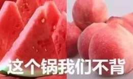 桃子吃瓜视频,揭秘娱乐圈幕后真相