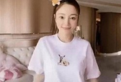 吃瓜视频贾乃亮,揭秘娱乐圈背后的真相