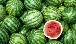 中国速度吃瓜群,见证时代变迁的“瓜界”风云