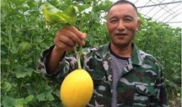 吃瓜群众福利分享,吃瓜群众专属福利大放送！