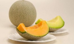 小米和蜜瓜吃蛋糕,甜蜜邂逅，美味共享