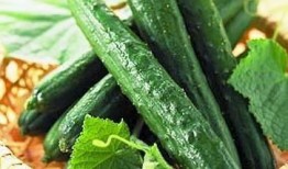 女人吃哪些瓜好,挑选最佳“瓜类”美食攻略