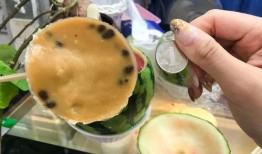 广州天河吃瓜,夏日吃瓜指南，畅享清凉美食之旅