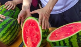 贵州大学食堂吃瓜,瓜果飘香，美食共享的校园时光