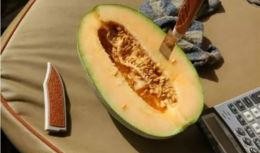 奥哥吃瓜,揭秘娱乐圈幕后故事