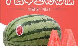 蹦瓜怎么吃,解锁美味新体验